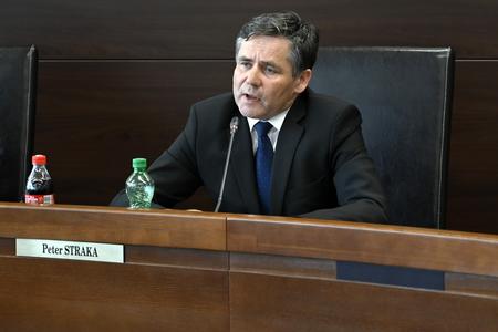 Constitutional Court Judge Peter Straka.
