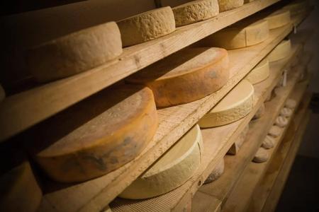 Though the Upper Nitra region is not traditionally known as a sheep-breeding powerhouse, a local farm has consistently ranked among Slovakia's elite cheese producers for several years. 