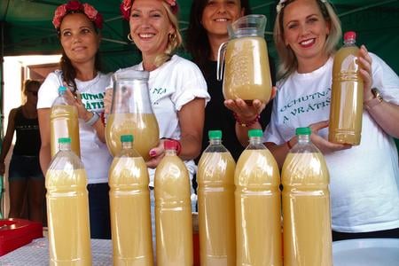 The offer of burčiak, slightly fermented grape juice, is a specialty offered at grape harvest festivities in Slovakia.  