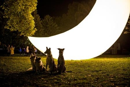 The 10th White Night festival is bringing back some of works from previous editions. One of them will by an impressive crescent moon created by BN Label.  