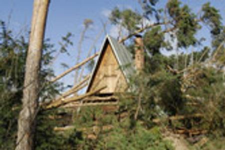 Emma uprooted thousands of trees across Slovakia.