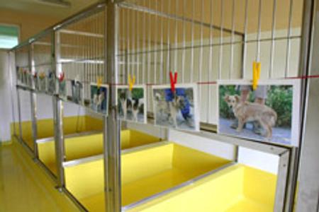 The new shelter is easing overcrowding at older premises.
