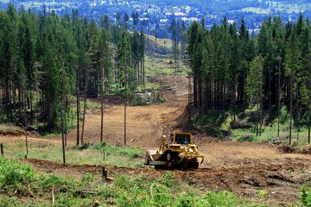 Tatras under scrutiny