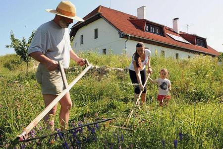 Family values are on the rise.