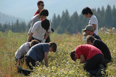 BISB students helping in the tree nursery. 