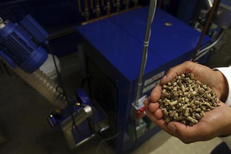 Wooden pellets are able to release the same amount of heat as brown coal.