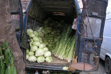 Would you like some healthy vegetables?