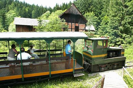 One of the forest trains at the Museum of Kysuce Village in Vychylovka