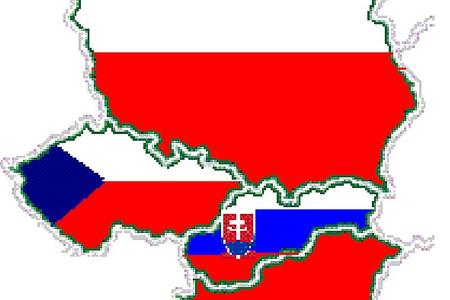 Visegrad Group countries. 
