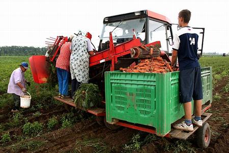Slovakia's 2009 harvest could fall almost 15%.