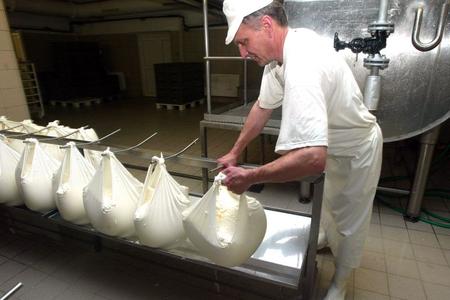 Slovak bryndza is partly produced from French sheep milk