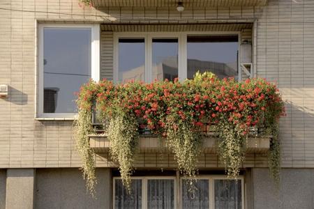 Prices of old apartments have dropped.