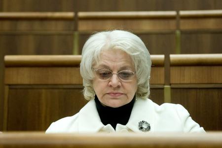 Labour Minister Viera Tomanová 