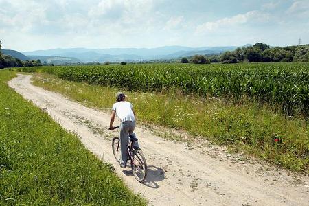 The IOM programme helps migrants get home. 