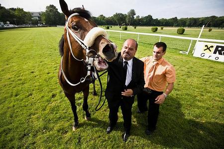 Overdose with his owner, Zoltán Mikóczy. 