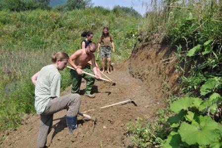 Ornithologists help to save and preserve nests