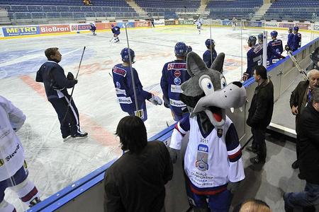 Goooly, the mascot of the championship, will perhaps learn to sing the anthem too. 