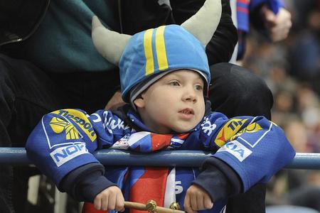 Hockey Fan