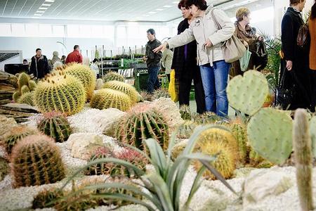 'Hobby' fairs like flower shows are increasingly popular in Slovakia.
