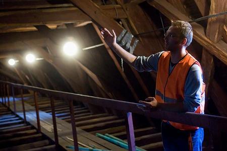 Look, no woodworm! Inside the roof of St Martin's Cathedral.