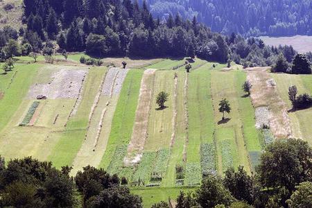 Slovakia to change rules for land acquisition