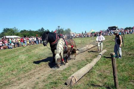 Ján Francisty Jr and his team of horses took home the top prize.