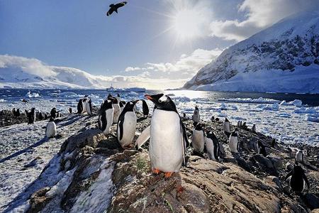 A picture-perfect view from Antarctica.