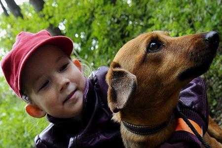 An open-door day welcomed visitors to Bratislava's animal rescue shelter.
