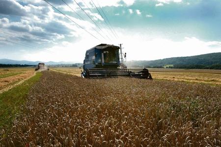 NewCAP will change some conditions for subsidies.