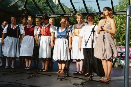 Minorities might struggle to finance their cultural activities.