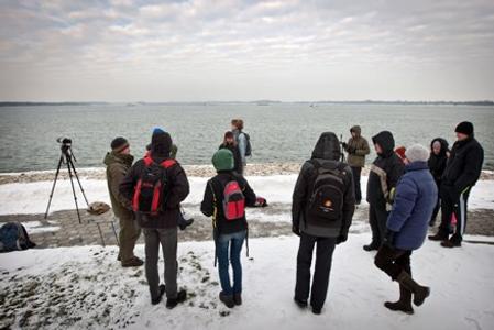 Last year's winter birdwatching in Čunovo (near Bratislava).