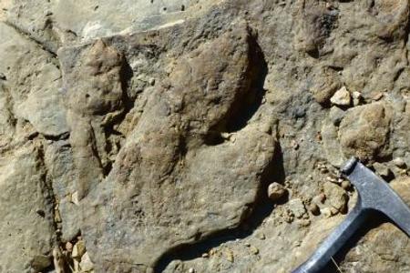The footprint discovered in India.