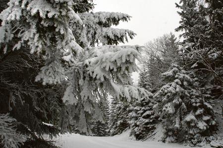 Winter came late this season.