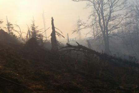 Betliar fire 