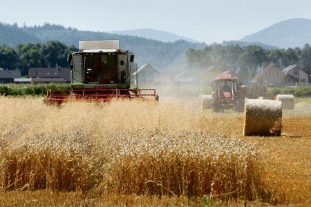 Danes have invested considerably in agriculture.