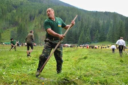 Competition in scything