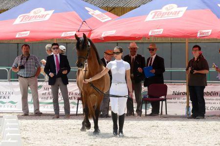 Horse show in Topoľčianky stud-farm