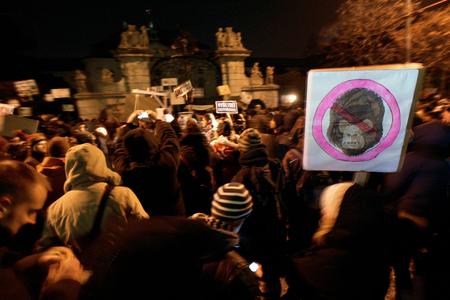 Q&A: The Gorilla Case