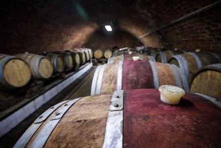 Wine cellar