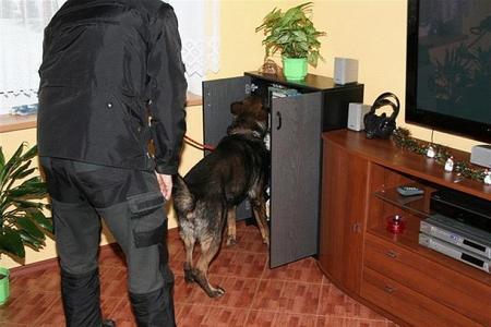 Dogs are widely used also by Slovak police. 