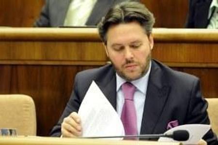 Former MP Jánoš charged with abuse has divorced wife