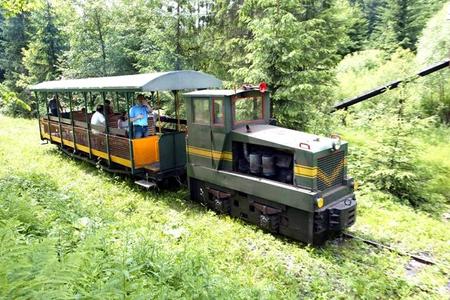 Orava and Kysuce connected with a unique forest railway