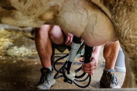 Dairy producers need state help, ministry starts campaign