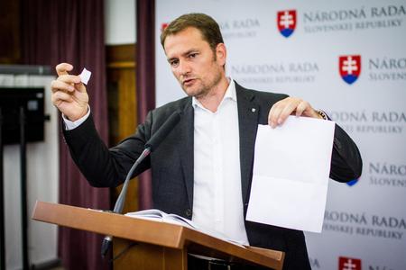 OĽaNO leader investigated for slander
