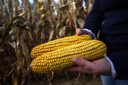 Slovak food producers call on cabinet to reject TTIP trade deal