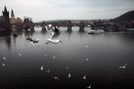 Prague.