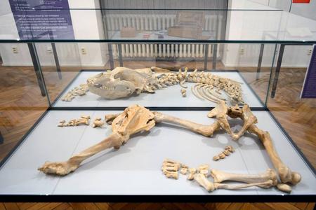 Items exhibited at 4 Millions in a Museum – What We Have Acquired exhibition in SNM 