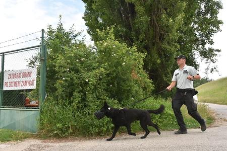 Manhunt for escaped prisoner continues