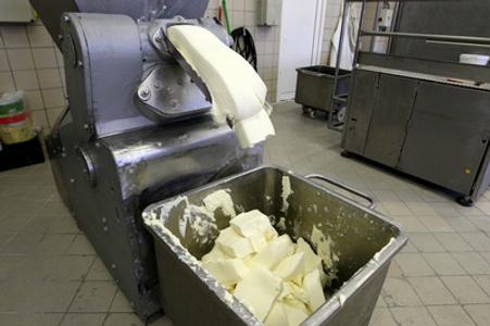 Cheese production, illustrative stock photo.