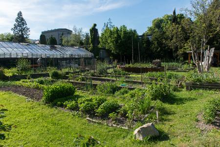 Vodárenská komunitná záhrada community garden.